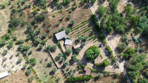 Quintinha  Venda em Freixial e Juncal do Campo,Castelo Branco