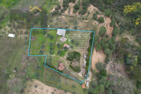 Quintinha  Venda em Freixial e Juncal do Campo,Castelo Branco