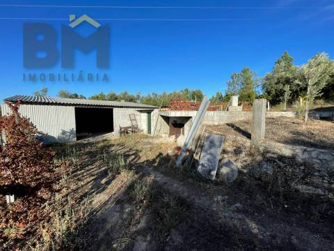 Quintinha  Venda em Freixial e Juncal do Campo,Castelo Branco