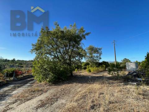 Quintinha  Venda em Freixial e Juncal do Campo,Castelo Branco