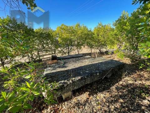 Quintinha  Venda em Freixial e Juncal do Campo,Castelo Branco