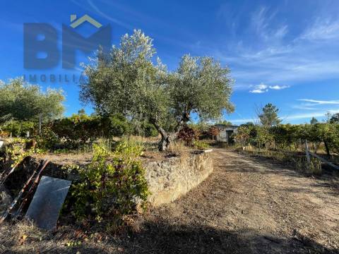 Quintinha  Venda em Freixial e Juncal do Campo,Castelo Branco