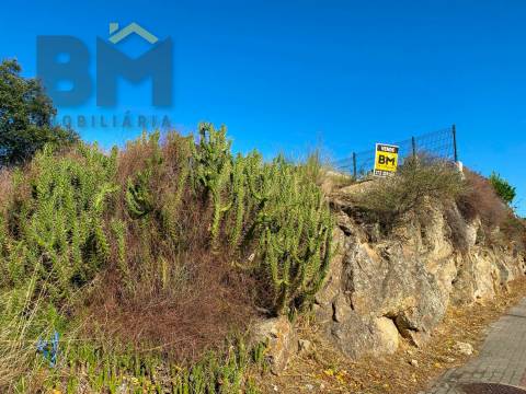 Terreno Para Construção  Venda em Castelo Branco,Castelo Branco