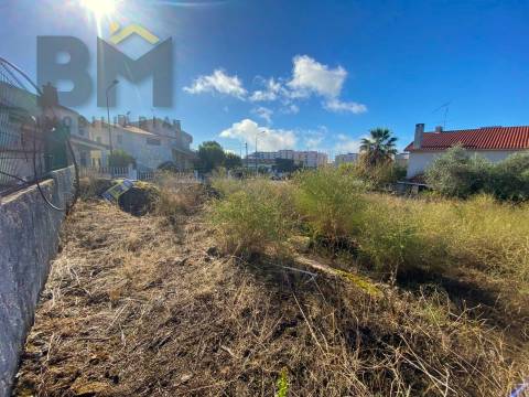 Terreno Para Construção  Venda em Castelo Branco,Castelo Branco