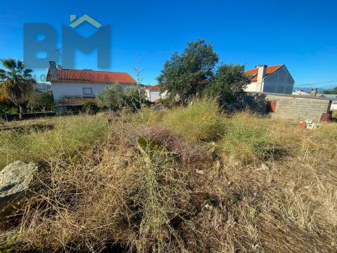 Terreno Para Construção  Venda em Castelo Branco,Castelo Branco