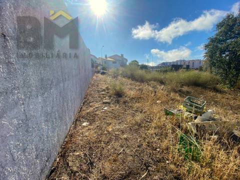 Terreno Para Construção  Venda em Castelo Branco,Castelo Branco