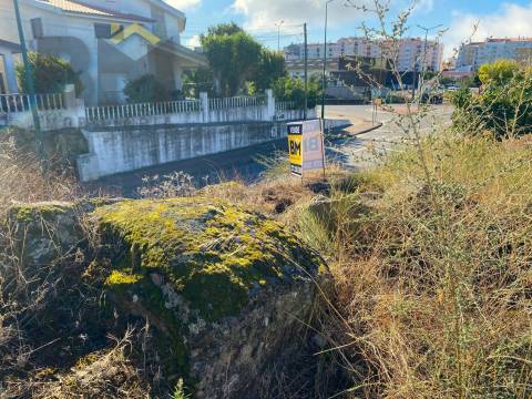 Terreno Para Construção  Venda em Castelo Branco,Castelo Branco