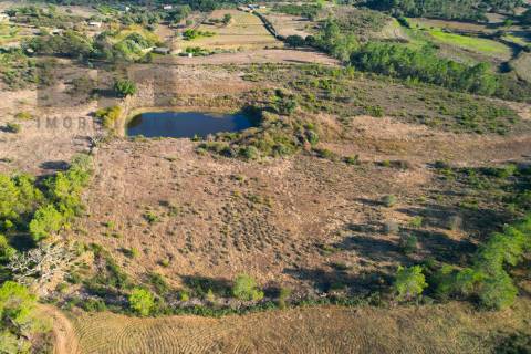 Terreno Rústico  Venda em Cebolais de Cima e Retaxo,Castelo Branco