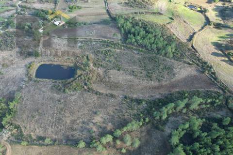 Terreno Rústico  Venda em Cebolais de Cima e Retaxo,Castelo Branco