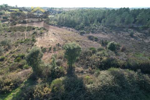 Terreno Rústico  Venda em Cebolais de Cima e Retaxo,Castelo Branco