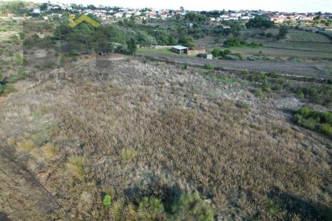 Terreno Rústico  Venda em Cebolais de Cima e Retaxo,Castelo Branco