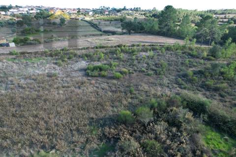 Terreno Rústico  Venda em Cebolais de Cima e Retaxo,Castelo Branco