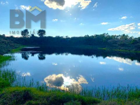 Terreno Rústico  Venda em Cebolais de Cima e Retaxo,Castelo Branco