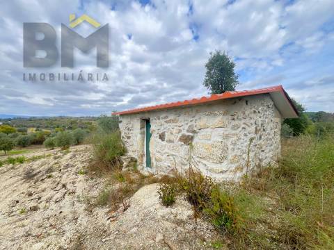 Quinta  Venda em São Miguel de Acha,Idanha-a-Nova