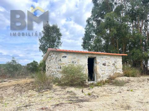 Quinta  Venda em São Miguel de Acha,Idanha-a-Nova