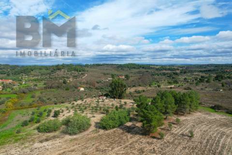 Quinta  Venda em São Miguel de Acha,Idanha-a-Nova