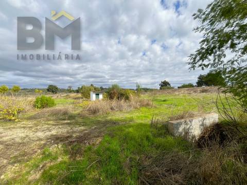 Quinta  Venda em São Miguel de Acha,Idanha-a-Nova