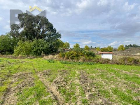 Quinta  Venda em São Miguel de Acha,Idanha-a-Nova