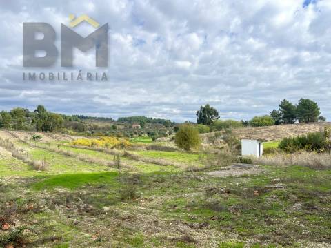 Quinta  Venda em São Miguel de Acha,Idanha-a-Nova