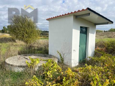 Quinta  Venda em São Miguel de Acha,Idanha-a-Nova