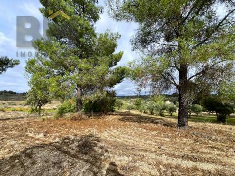 Quinta  Venda em São Miguel de Acha,Idanha-a-Nova