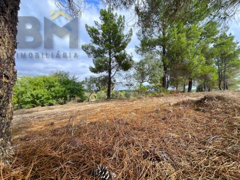 Quinta  Venda em São Miguel de Acha,Idanha-a-Nova