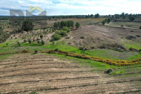 Quinta  Venda em São Miguel de Acha,Idanha-a-Nova