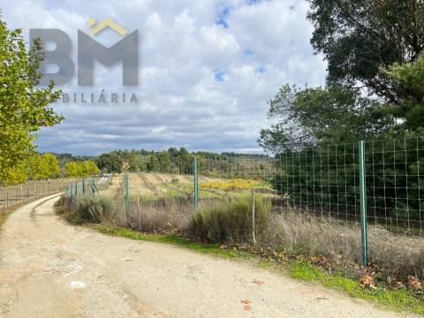 Quinta  Venda em São Miguel de Acha,Idanha-a-Nova