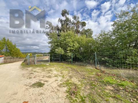 Quinta  Venda em São Miguel de Acha,Idanha-a-Nova