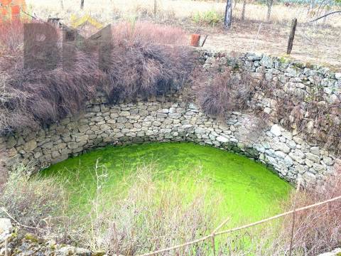 Terreno Rústico  Venda em Escalos de Baixo e Mata,Castelo Branco