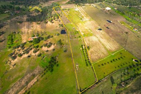 Terreno Rústico  Venda em Escalos de Baixo e Mata,Castelo Branco