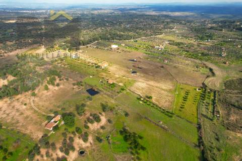 Terreno Rústico  Venda em Escalos de Baixo e Mata,Castelo Branco