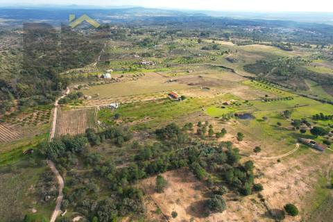 Terreno Rústico  Venda em Escalos de Baixo e Mata,Castelo Branco