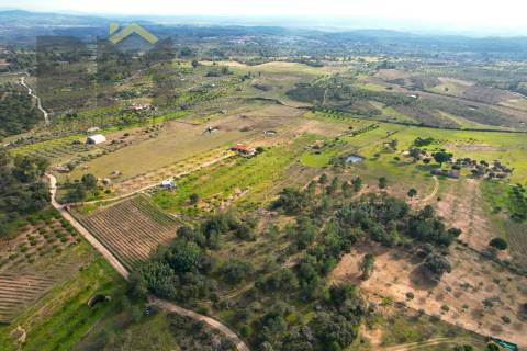 Terreno Rústico  Venda em Escalos de Baixo e Mata,Castelo Branco