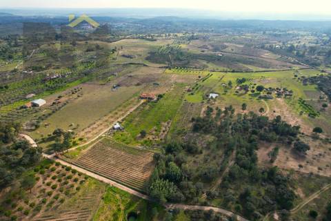 Terreno Rústico  Venda em Escalos de Baixo e Mata,Castelo Branco