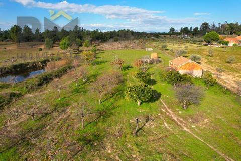 Terreno Rústico  Venda em Escalos de Baixo e Mata,Castelo Branco