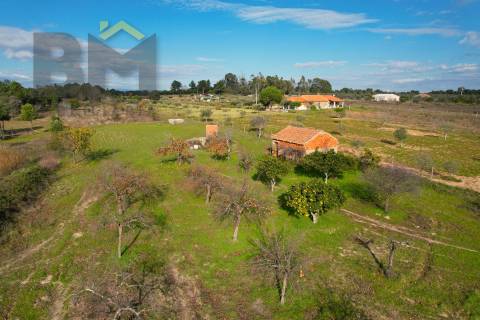 Terreno Rústico  Venda em Escalos de Baixo e Mata,Castelo Branco