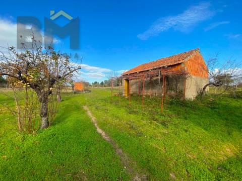 Terreno Rústico  Venda em Escalos de Baixo e Mata,Castelo Branco