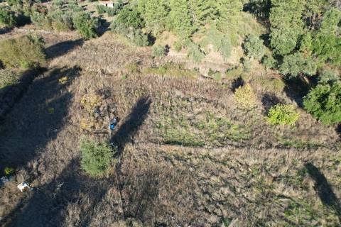 Moradia T3 Venda em Salgueiro do Campo,Castelo Branco