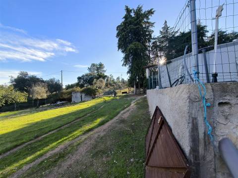 Moradia T3 Venda em Salgueiro do Campo,Castelo Branco