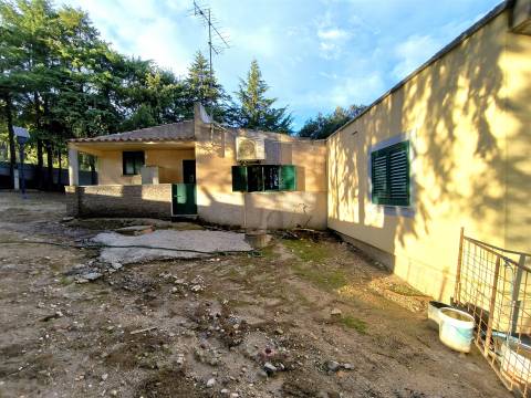 Moradia T3 Venda em Salgueiro do Campo,Castelo Branco