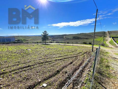 Terreno Urbano  Venda em Castelo Branco,Castelo Branco