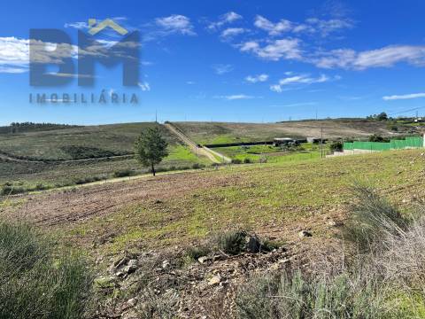 Terreno Urbano  Venda em Castelo Branco,Castelo Branco
