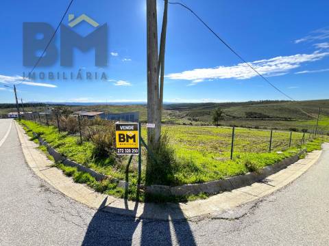 Terreno Urbano  Venda em Castelo Branco,Castelo Branco