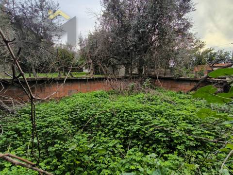 Moradia para Restaurar T2 Venda em Póvoa de Rio de Moinhos e Cafede,Castelo Branco