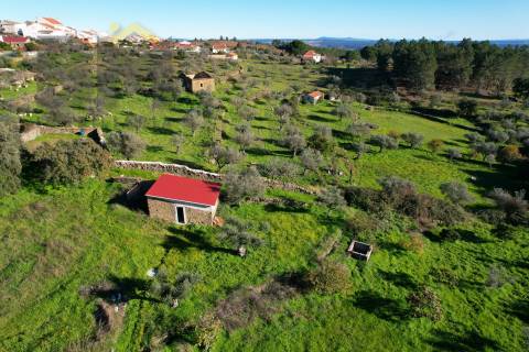 Quintinha  Venda em Perais,Vila Velha de Rodão
