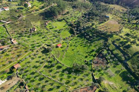 Quintinha  Venda em Perais,Vila Velha de Rodão