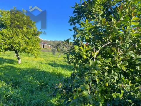 Quintinha  Venda em Perais,Vila Velha de Rodão