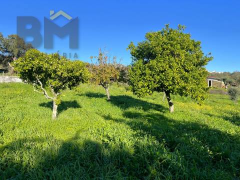 Quintinha  Venda em Perais,Vila Velha de Rodão
