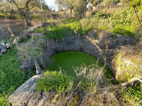 Quintinha  Venda em Perais,Vila Velha de Rodão
